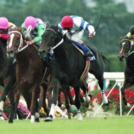 sinya0917's profile picture. 親父に競馬場に連れて行かれヒシアマゾンを見て競馬が好きになりました🐎   今はタガノビューティーが好きです。 競馬が好きで予想をつぶやいてますがまだまだへたです！ 気楽にフォローや絡んで下さい！ ＃競馬 ＃競馬予想#タガノビューティー