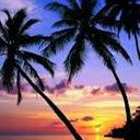 Sami Schneider - @Smamcat - Twitter