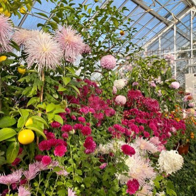 ClaireAnton2's profile picture. 