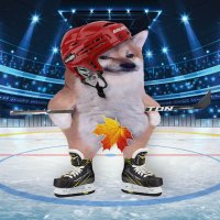 Peter Dunphy (@peterdguru) 's Twitter Profile