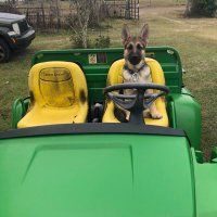 Steve (@sw4919steve) 's Twitter Profile