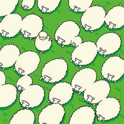 xiaohu0601's profile picture. have a try