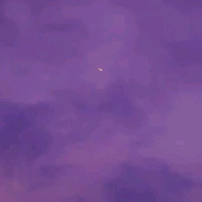 bluberichezz's profile picture. solitude