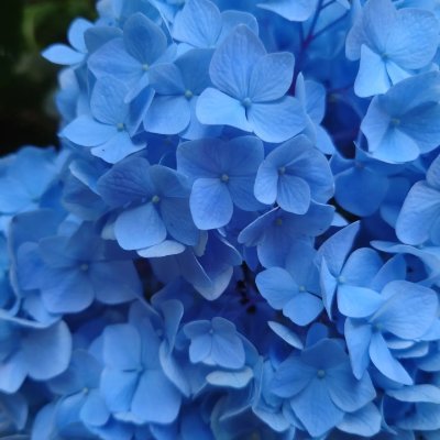 sashuang43's profile picture. 中国ドラマみてます。見始めたきっかけは中国語学習のため。しかし、古装ドラマの方が自分好みということに気づく（現代ドラマも見ます）。

無言フォロー失礼します。