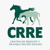 Centro de Rescate y Rehabilitación Equino(@caballos_crre) 's Twitter Profile Photo
