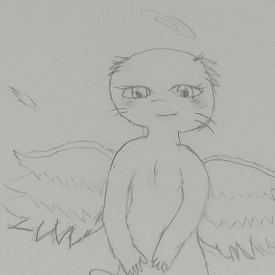 するめさんのプロフィール画像