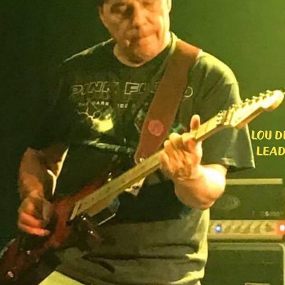 Web Application Developer, Musician
Lead Guitarist for HUNGRY DINGO