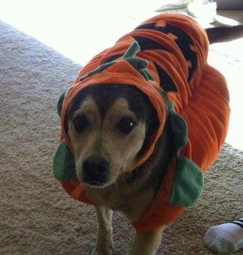 zakkinion's profile picture. Former entrepreneur and Author turned digital nomad. Previously @Jet.com.