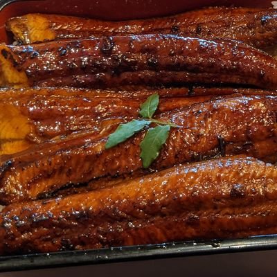 muttoncurry9's profile picture. 