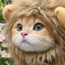 Brave Cat (@Brave_Cat0) Twitter profile photo