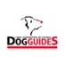 LFC Dog Guides (@lfcdogguides) Twitter profile photo LFC Dog Guides (@lfcdogguides) Twitter profile photo