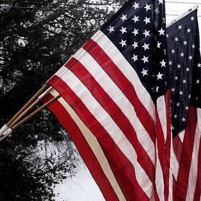 God Bless the USA, Trump, There are 2 genders 2A God Bless Our Troops, We must fix the election system