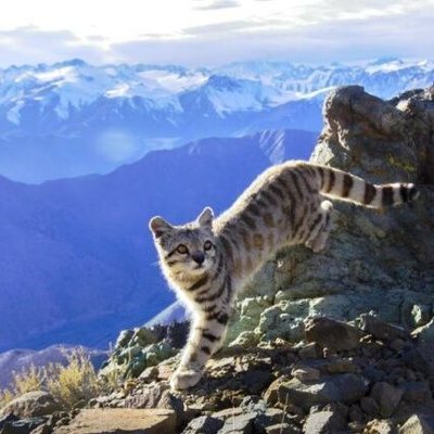 TWooo21332474's profile picture. Fun quotes about Football and useful tips for improving your game