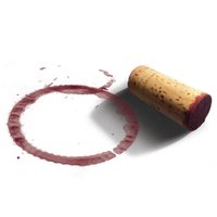 SavorNW (@savornw) 's Twitter Profile