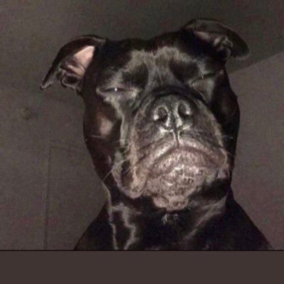 traderjoeshmoe1's profile picture. 