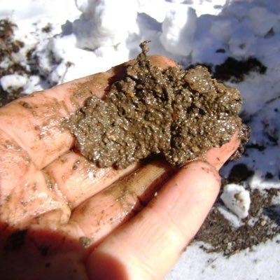 Soil carbon biogeochemist focused on using soil to help mitigate climate change