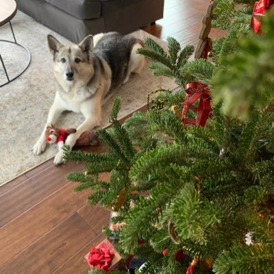 chicaincolorado's profile picture. 