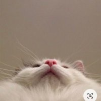ميثه (@mthzxi) 's Twitter Profile