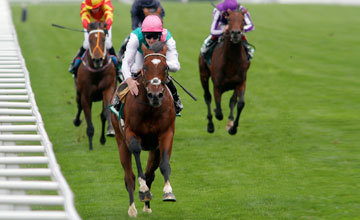 ATYOURPERRIL's profile picture. For The Punter By The Punter