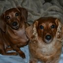 Christy Hebert - @chebert8l8300 - Twitter