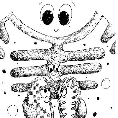 InorgssLab's profile picture. Inter-organelle Stress Signalling at @VIB/@Ugent 
plant-pathogen interactions - inter-organelle communication - proteomics - ERC StG 'COSI'