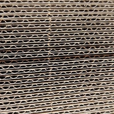 sunjiandt's profile picture. All about crypto