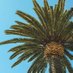 Galifornia (@galiforniasocal) Twitter profile photo Galifornia (@galiforniasocal) Twitter profile photo