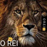 👊𝑶 𝑹𝑬𝑰👑🦁👑(@LEAOREI444) 's Twitter Profile Photo