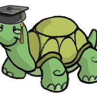 Turtle Academy (@academyofturtle) 's Twitter Profile