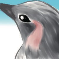 ヒヨドリとオナガに愛を注いで日々ベランダ観察。文筆業が鳥愛から絵を描くことに手を出し文芸社さんから絵本「ゆみちゃんとヒヨドリ」発売。観察絵日記等ヒヨドリ愛を広げるためになにかやりたくて模索中。