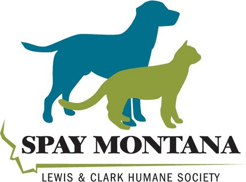 SPAYMontana1's profile picture.