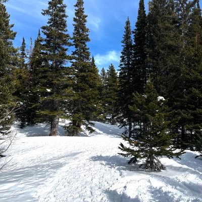 SchnellTim's profile picture. #alohaaina #BOOTEDGEDGE Respect existence or expect resistance. ENFP. Not left or right. Observer of politics. Sarcastic. You block, I win! RTs ≠ endorsements