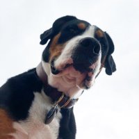Sean M. (@mtb_breck) 's Twitter Profile