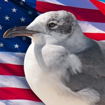 Christian. Constitutional Conservative.
Proud patriot and resident of the FREE state of Florida.
#DeSantis2028 #RD28