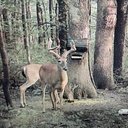 Paul Artman - @PaulArtman8 - Twitter