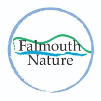 Falmouth Nature(@FalmouthNature) 's Twitter Profile Photo