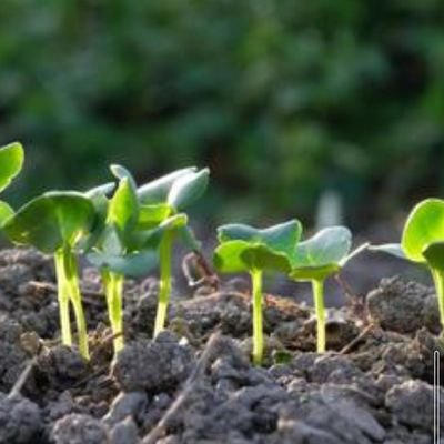 kei0209sapporo's profile picture. 札幌を中心に活動中です。
お問い合わせやご依頼はDMからお気軽に。シリンジ法·タイミング法/無償提供/30代/167cm/70kg/A型RH＋/性病検査陰性◎/精子検査◎/非喫煙者/実績あり