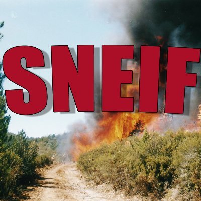 Un Sistema Nacional de Extinción de Incendios Forestales (SNEIF): propuesta de un sistema de extinción de incendios forestales común para todo el Estado Español
