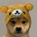 Beze (@benzevagyok1) Twitter profile photo Beze (@benzevagyok1) Twitter profile photo