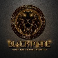 Blackmaneforever(@Blackmanechange) 's Twitter Profile Photo