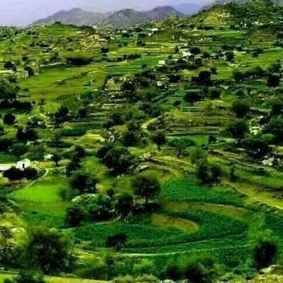 abdu_alaslamy's profile picture. احب السعادة ... واحب ان يكون الجميع سعداء ...