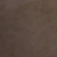 AndyVenice87 (@andyvenice87) 's Twitter Profile