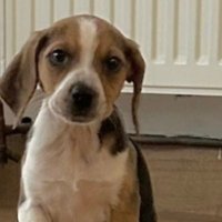 SallyHaydon (@sallyhaydon2) 's Twitter Profile