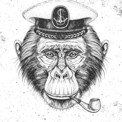 Admiral Monke 🇺🇸