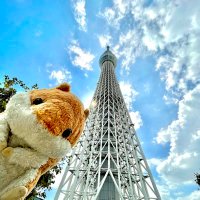 あいちん (@aika_1101) Twitter profile photo