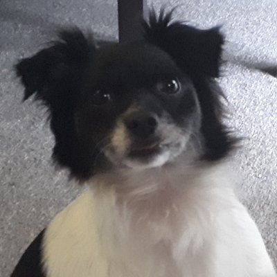 totallyawry's profile picture. Babbling like a brook, but nowhere near as melodious.

I take my coffee black.

he/her/they