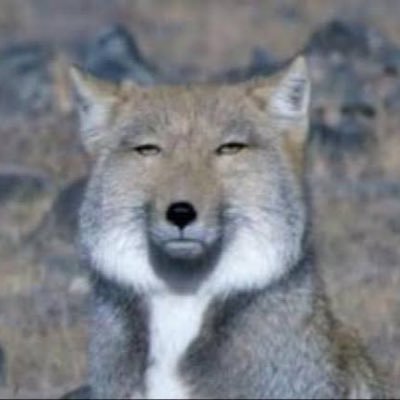 底辺昼職底辺ホステスな独身アラサー 夜職全般転々と 頭が悪い 済→歯列矯正全身医療脱毛ビラ切り各種ボトレーザー 🇰🇷10/21輪郭骨切り、部分切開目付き矯正、目頭切開、目尻靭帯移動、目の下の脂肪再配置、鼻翼基部骨移植、ミニ切開リフト 2024/12 鼻フル、ペリカン、糸リフト すでに鼻デカすぎて修正考え🥲