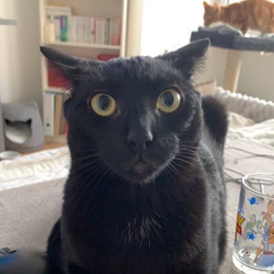 HugoBlrd's profile picture. Technique cette game