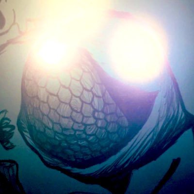 kaiko_OXO's profile picture. 殺風景な命。 インスタ→https://t.co/no5KEOxcB9