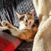 Margotte De Valdoisie (@margotte_cat) Twitter profile photo Margotte De Valdoisie (@margotte_cat) Twitter profile photo